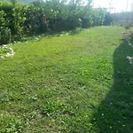 Andric Apartment