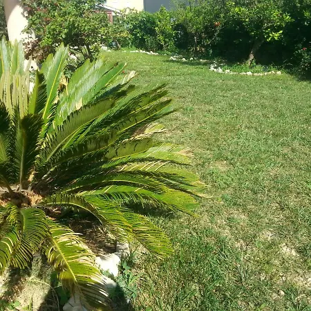 Apartment Andric Kastela